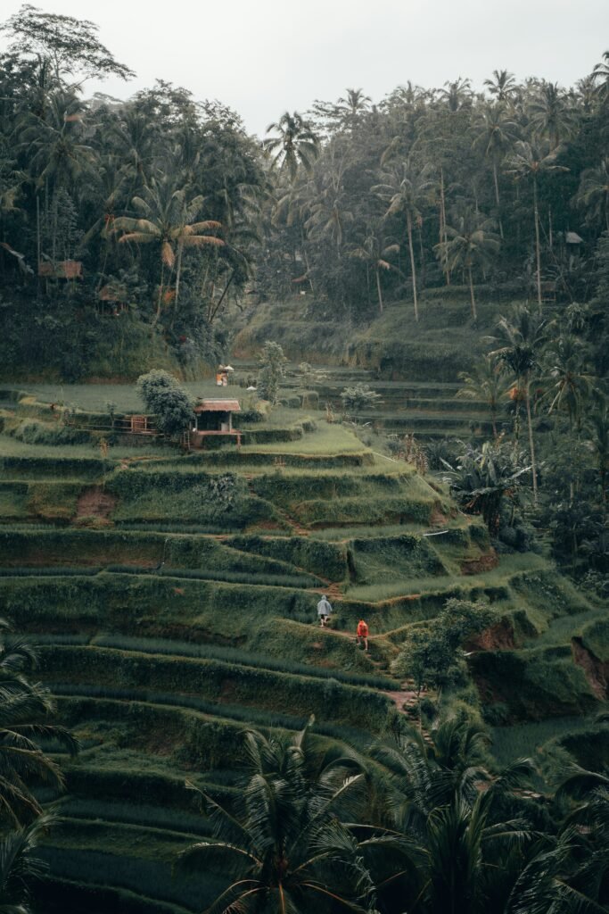 Eco-Friendly E-Gokart Adventure in Bali — Photo 6