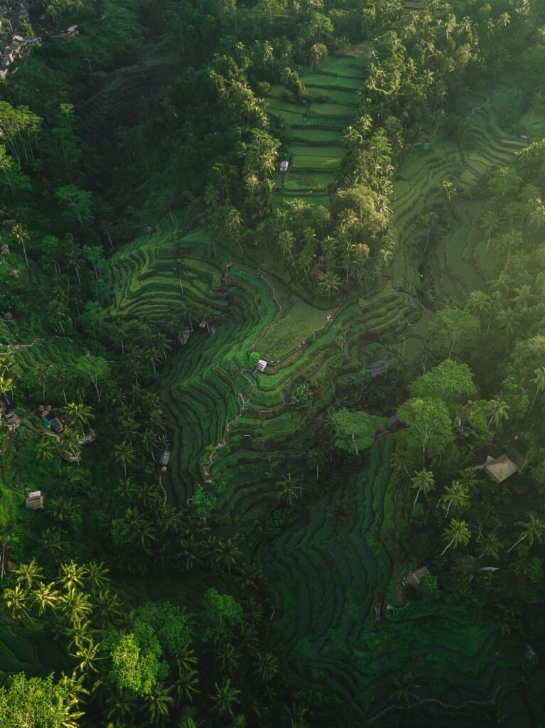 Eco-Friendly E-Gokart Adventure in Bali — Photo 3