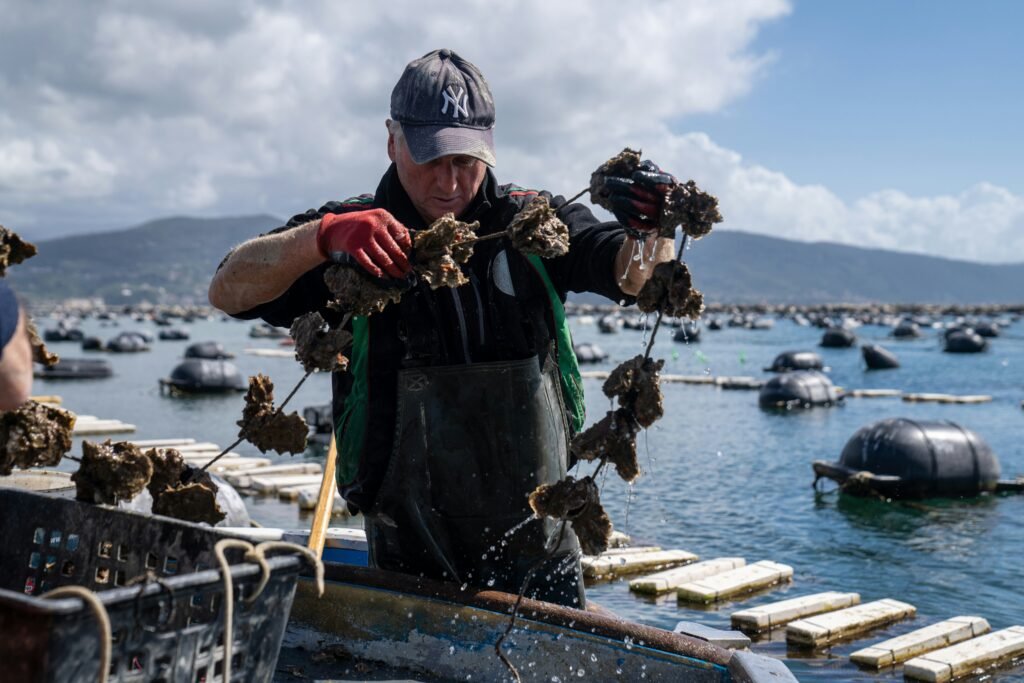 Seaweed Farming — Balinese Seaweed Experience in Nusa Penida